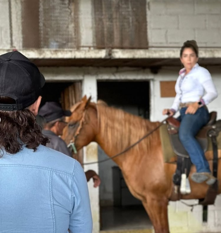 Curso de Equitação